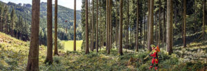 Kübler® Forstbekleidung für Baumfällsaison